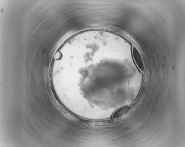 X0000087681291200705251634