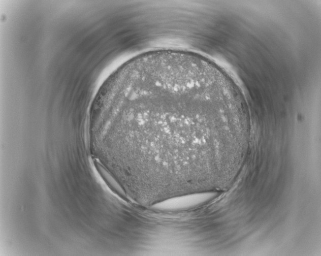 X0000087681295200705251634