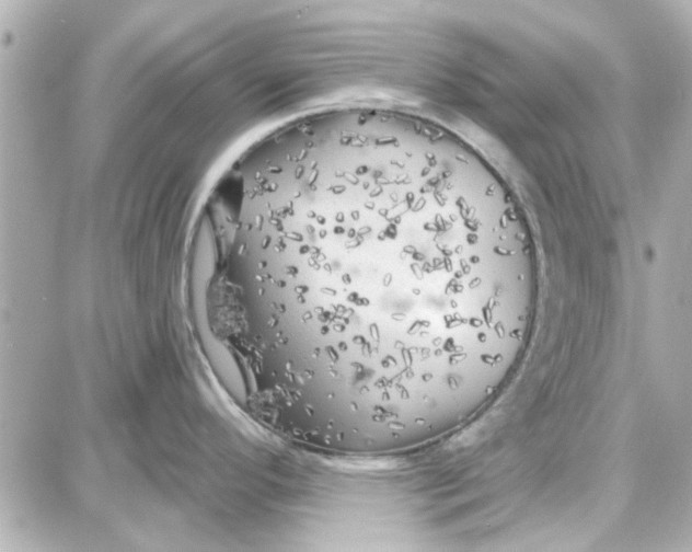 X0000087681296200705251634