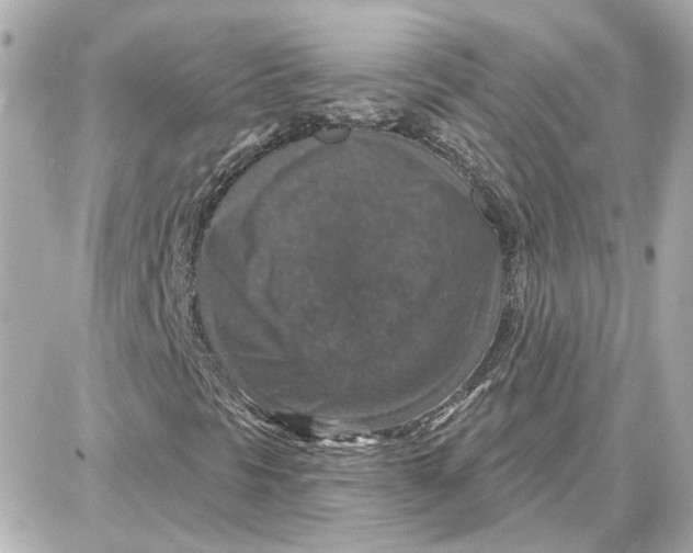 X0000087681297200705251633