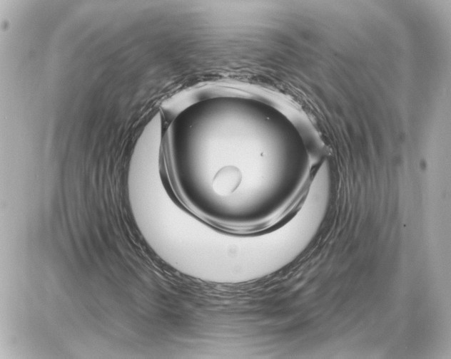 X0000087681298200705251633