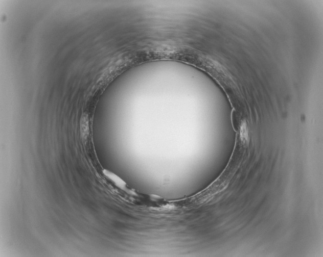 X0000087681299200705251634