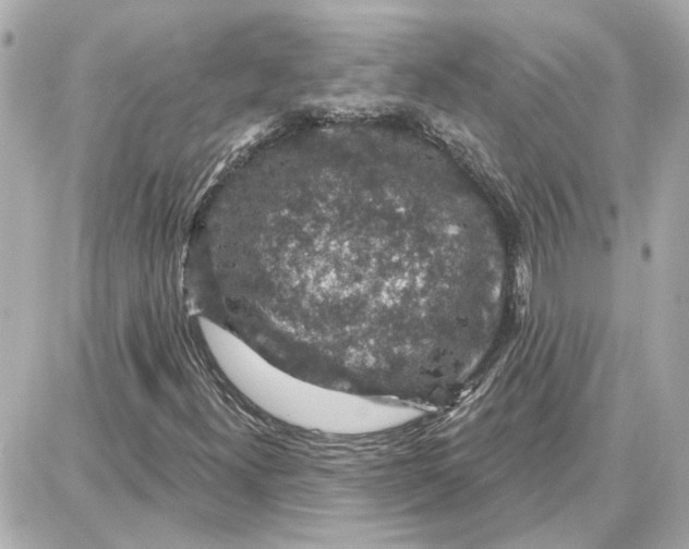 X0000087681300200705251634