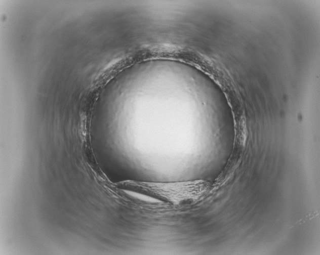 X0000087681301200705251634