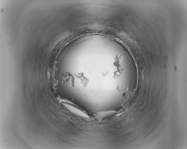 X0000087681302200705251634