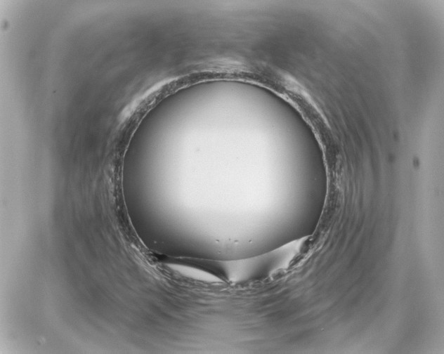 X0000087681304200705251634