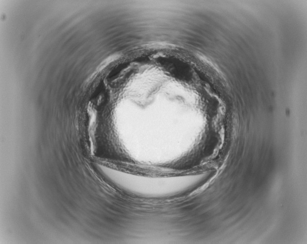 X0000087681305200705251634