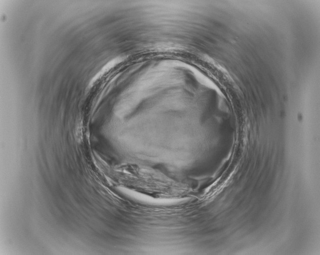 X0000087681306200705251634