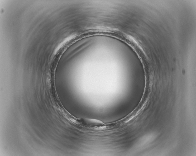 X0000087681307200705251634