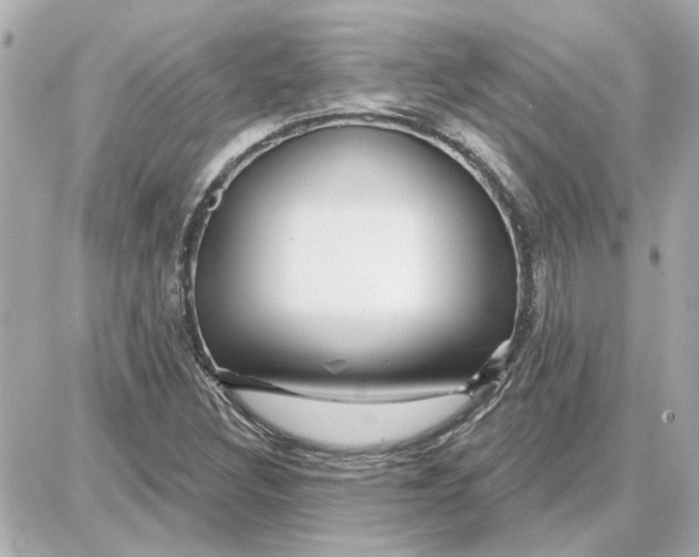 X0000087681308200705251634