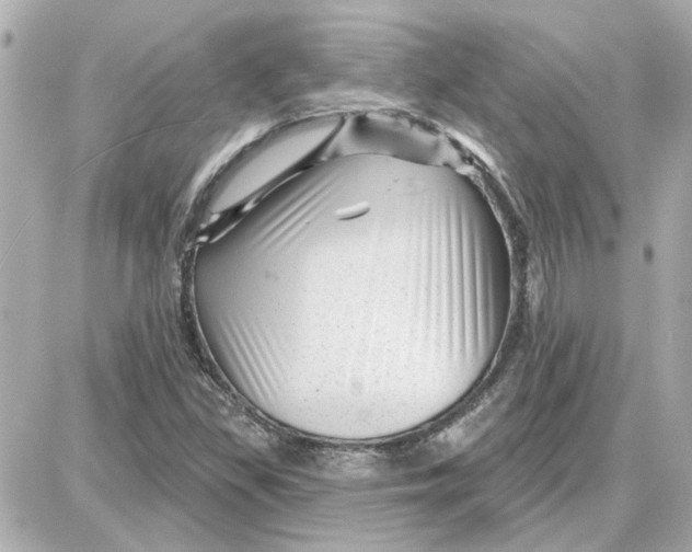 X0000087681309200705251634