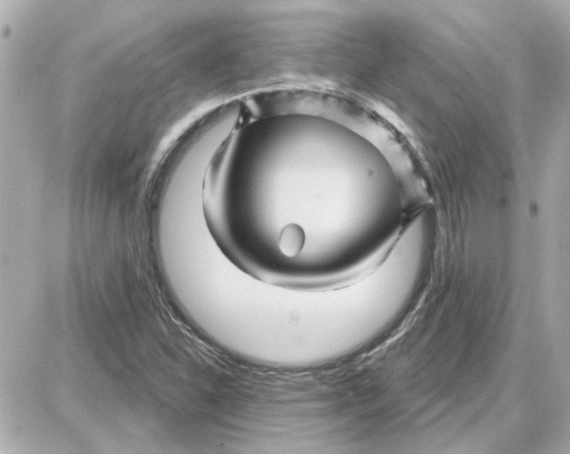 X0000087681310200705251634