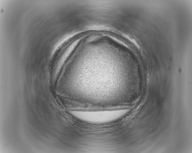 X0000087681311200705251634