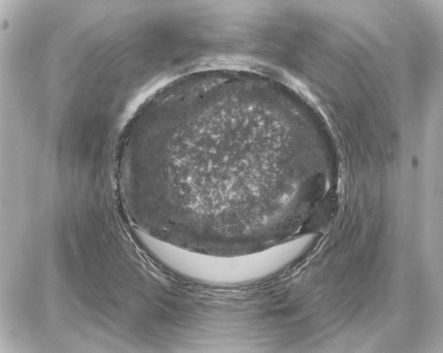 X0000087681312200705251634