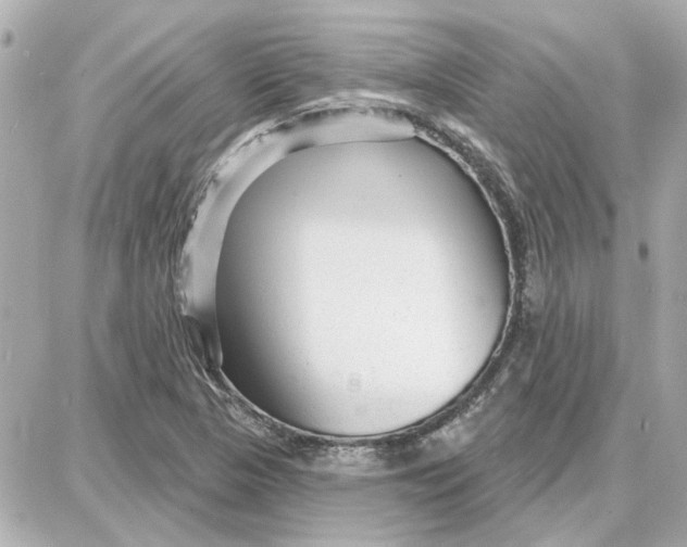 X0000087681313200705251634