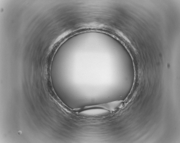 X0000087681315200705251634