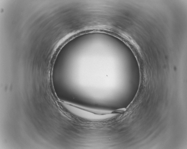 X0000087681316200705251634