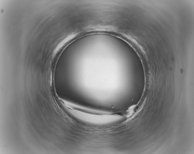 X0000087681317200705251634