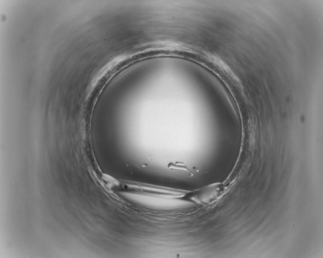 X0000087681318200705251634