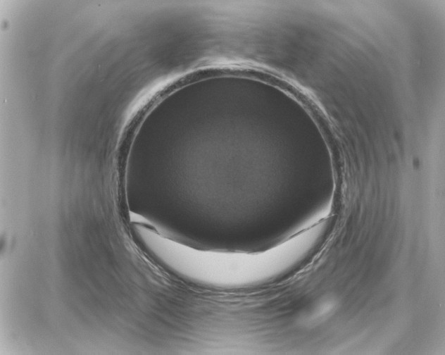 X0000087681319200705251634