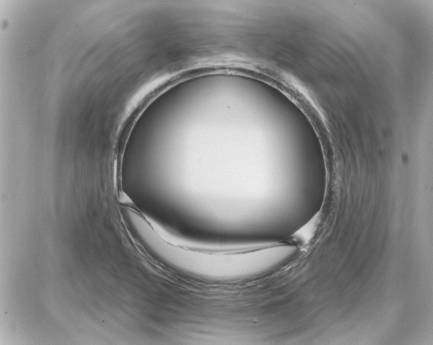 X0000087681320200705251634