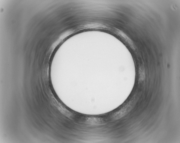 X0000087681322200705251634