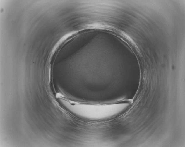 X0000087681323200705251634