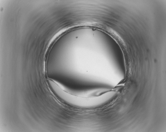 X0000087681324200705251634