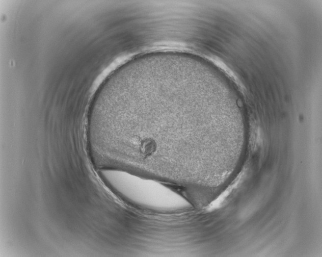 X0000087681325200705251634