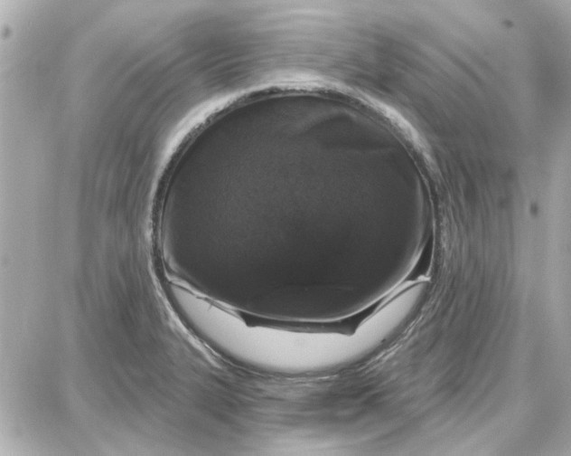 X0000087681327200705251634