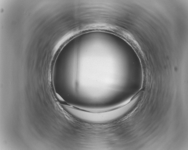 X0000087681328200705251634