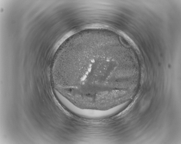 X0000087681329200705251634