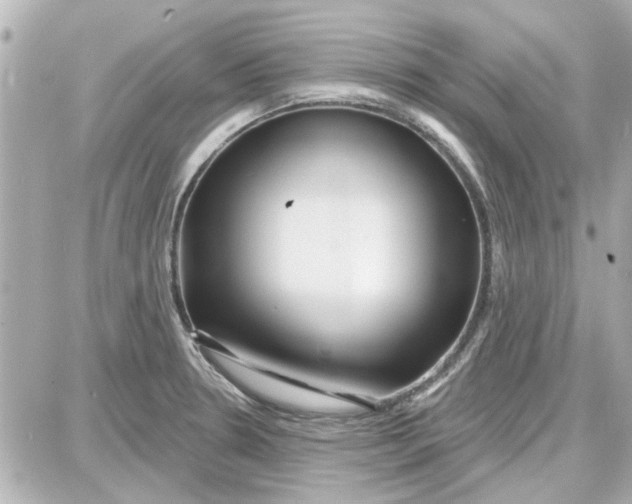 X0000087681330200705251634