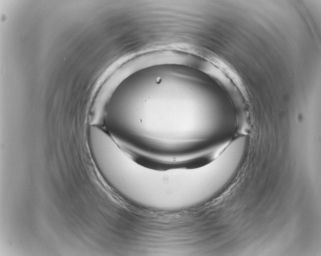 X0000087681332200705251634