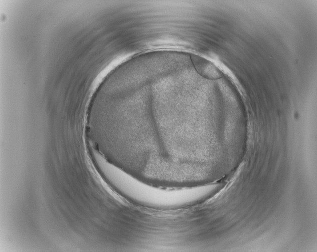 X0000087681333200705251634