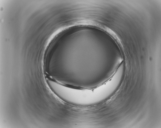 X0000087681334200705251634