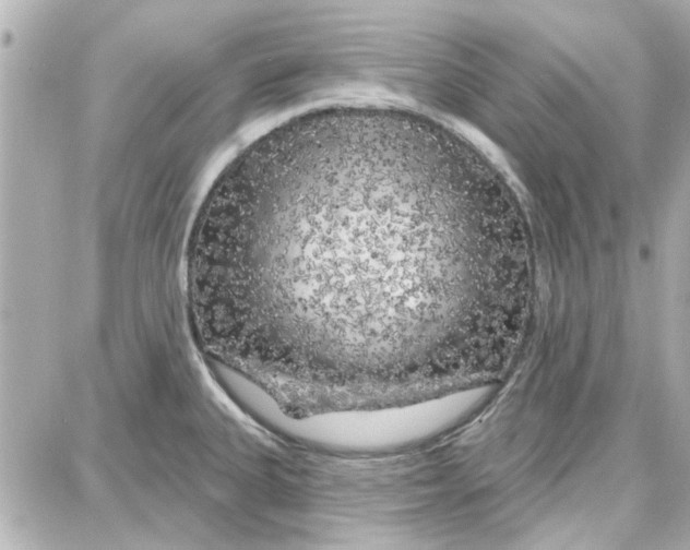 X0000087681335200705251634