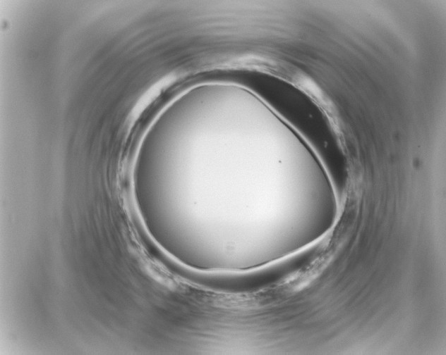 X0000087681336200705251634