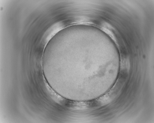 X0000087681338200705251634