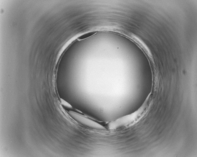 X0000087681340200705251634