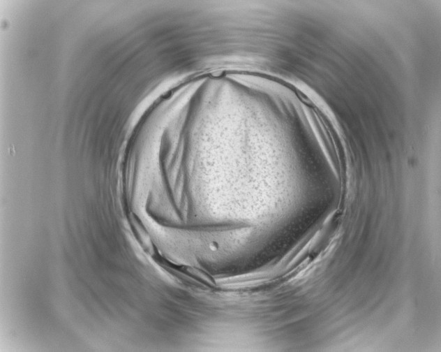 X0000087681341200705251634