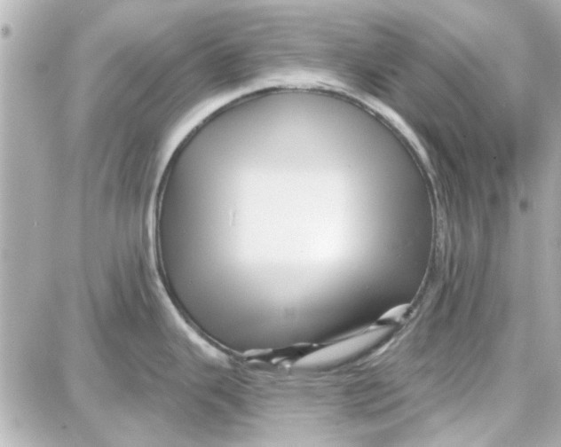 X0000087681343200705251634