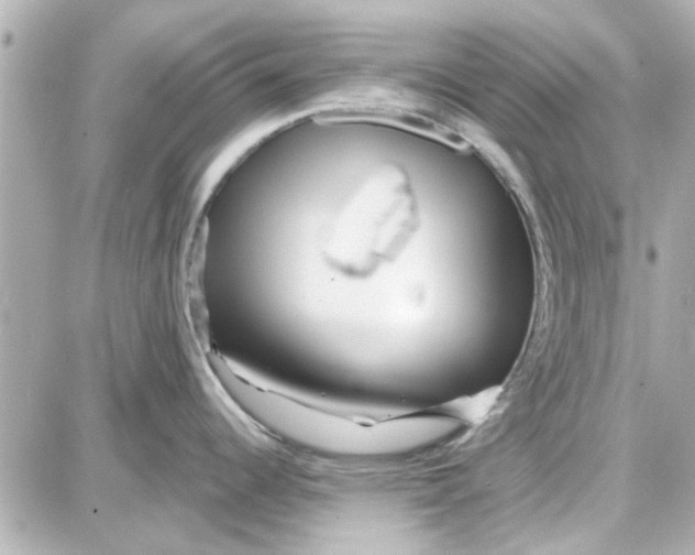 X0000087681344200705251634