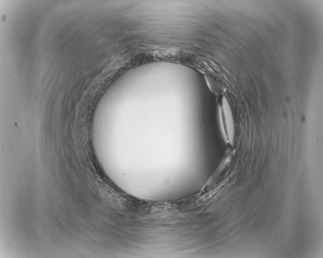 X0000087681345200705251633