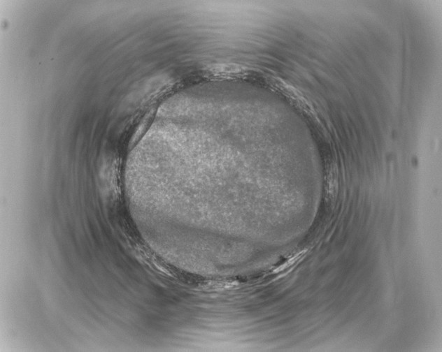 X0000087681346200705251633