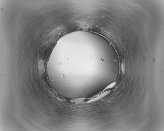 X0000087681347200705251633