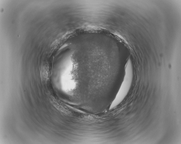 X0000087681348200705251633