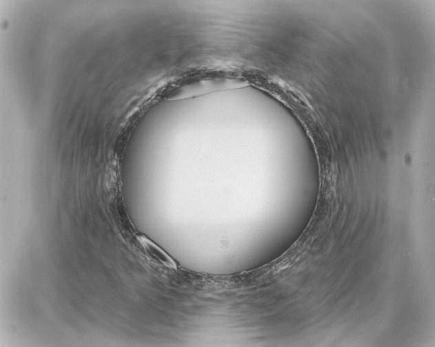 X0000087681349200705251633