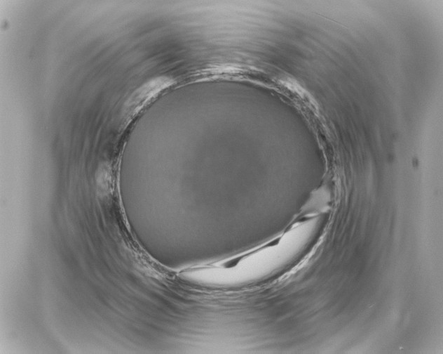 X0000087681353200705251633