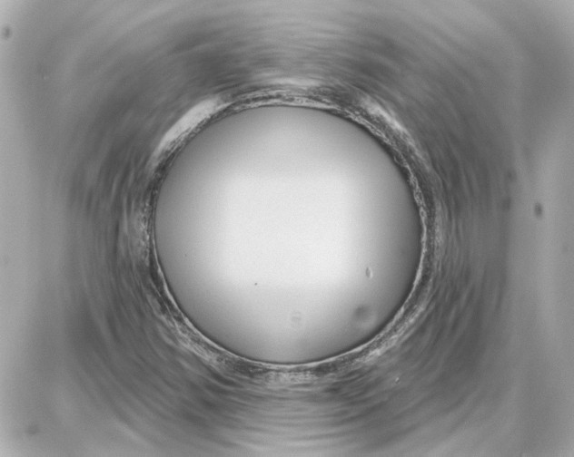 X0000087681354200705251633